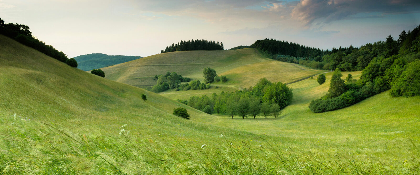 prevention-perte-d'autonomie, rectruteemnt medecin 70