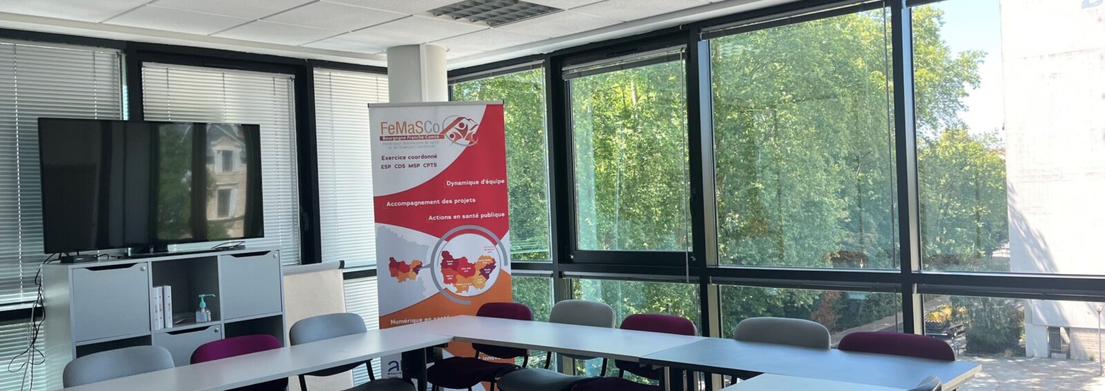 FeMaSCo-BFC salle de reunion